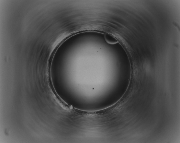 X0000101980894200807181122