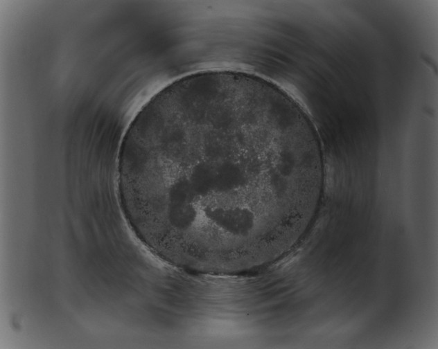 X0000101980895200807181122