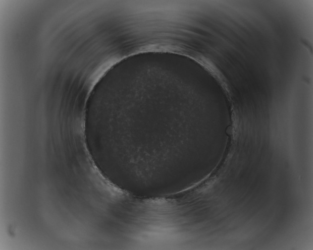 X0000101980896200807181122