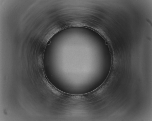 X0000101980897200807181122