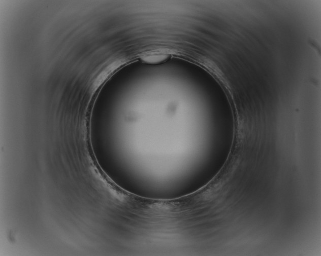 X0000101980898200807181122