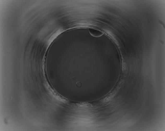 X0000101980899200807181122