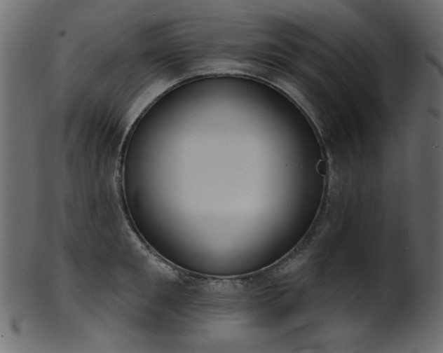 X0000101980901200807181122