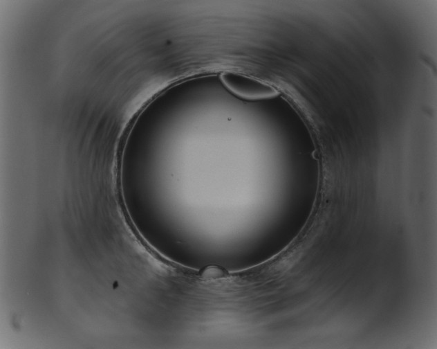 X0000101980902200807181122