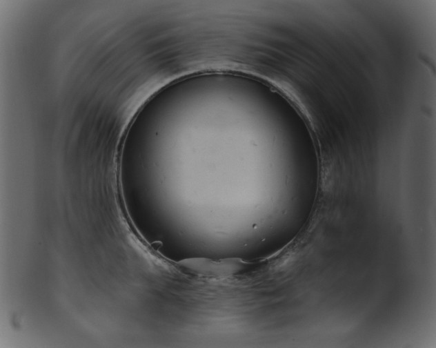 X0000101980903200807181122