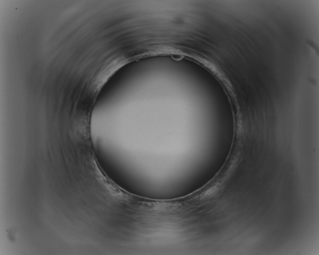 X0000101980905200807181122