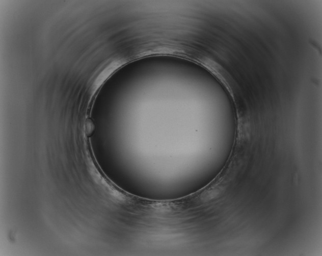 X0000101980906200807181122