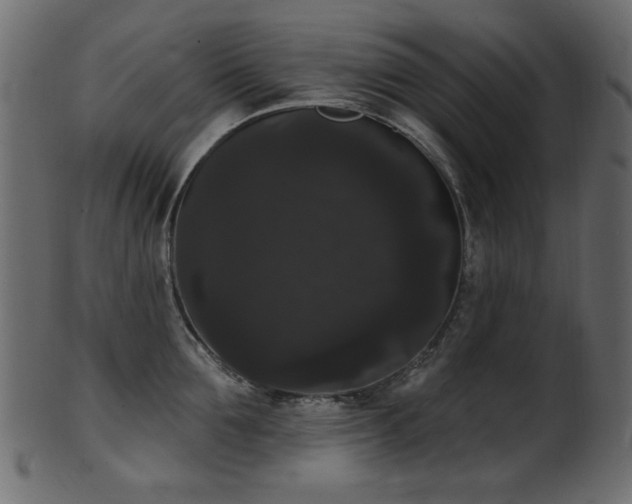 X0000101980907200807181122