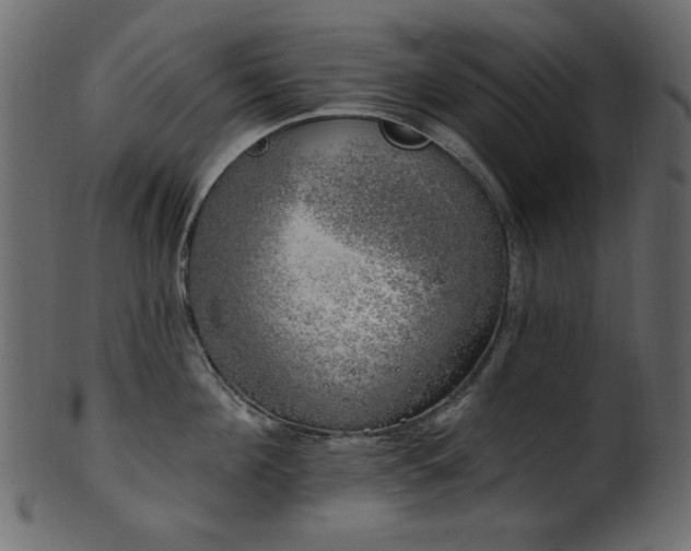 X0000101980908200807181122