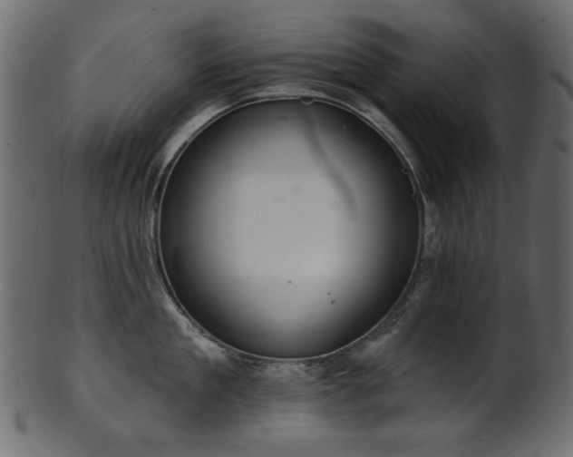 X0000101980909200807181122