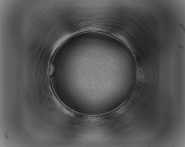 X0000101980910200807181122