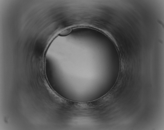 X0000101980911200807181122