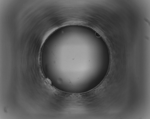 X0000101980912200807181122