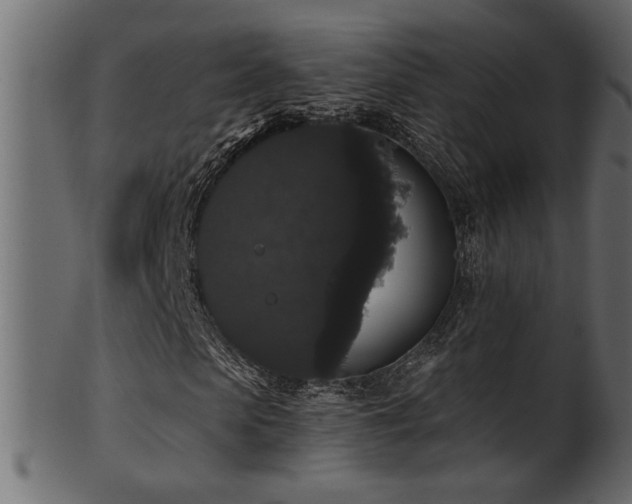 X0000101980913200807181121