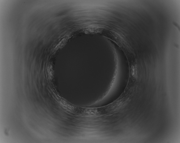 X0000101980915200807181121