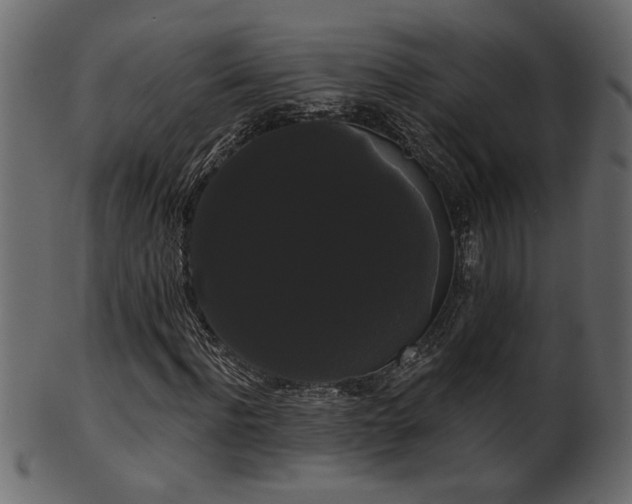 X0000101980916200807181121