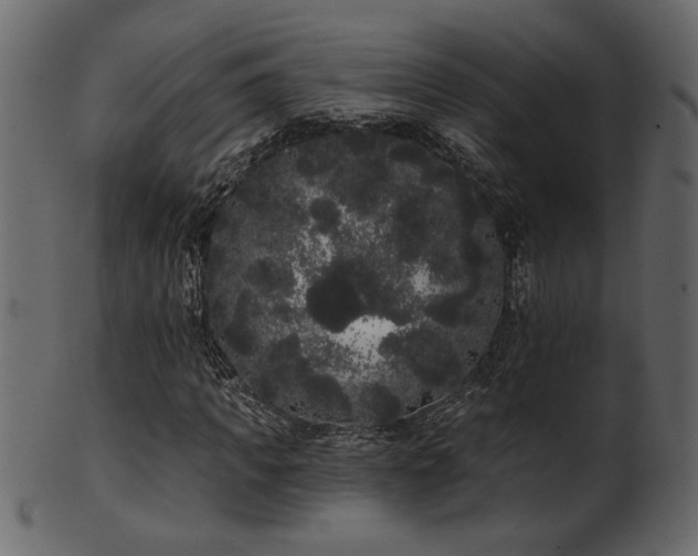 X0000101980917200807181121