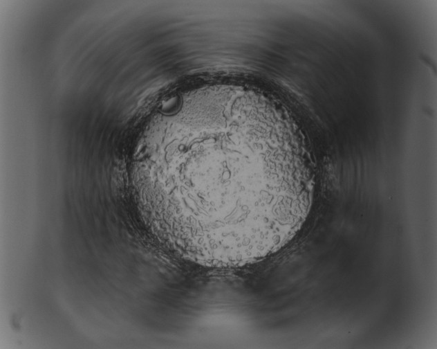 X0000101980918200807181121