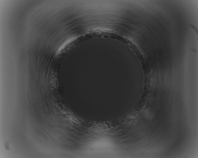 X0000101980919200807181121