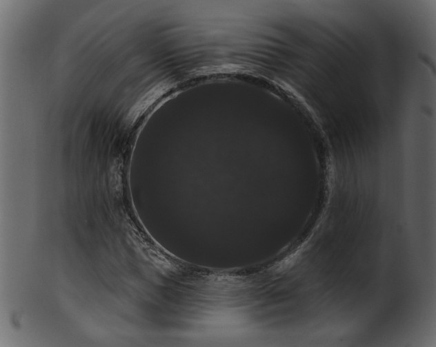 X0000101980921200807181121