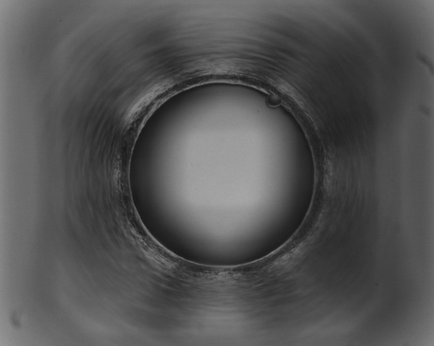 X0000101980922200807181121