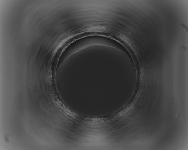 X0000101980923200807181121