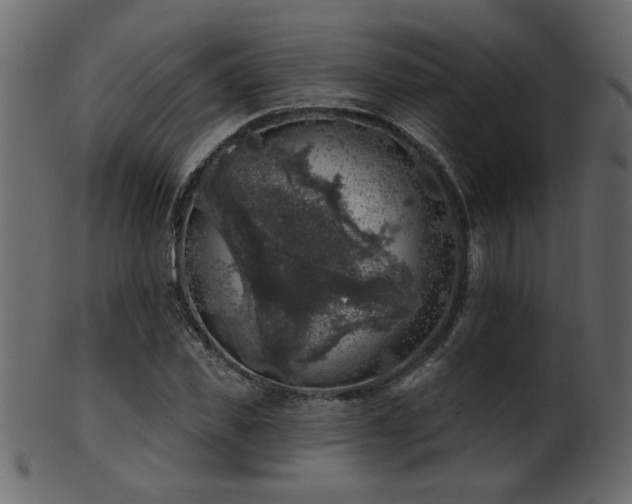 X0000101980925200807181121