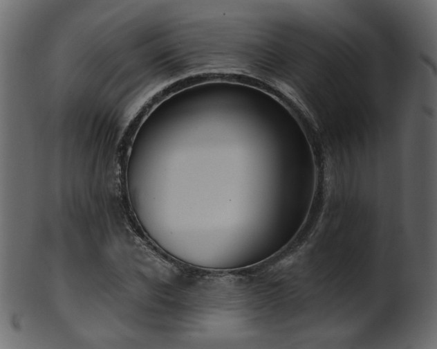 X0000101980926200807181121