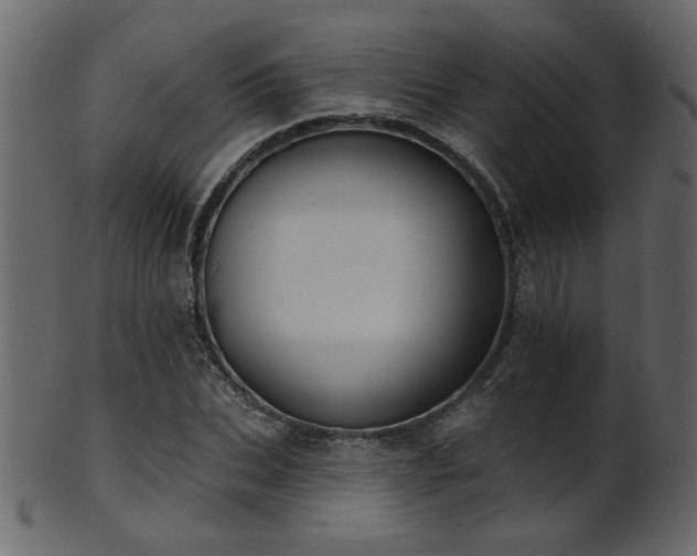 X0000101980927200807181121