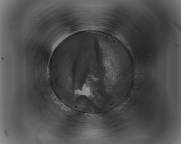 X0000101980928200807181121