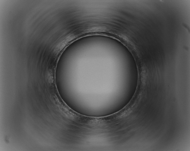 X0000101980929200807181121