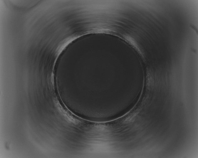 X0000101980932200807181121