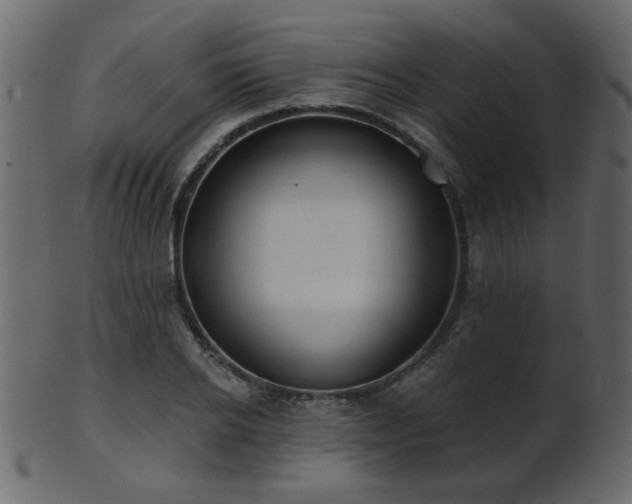 X0000101980934200807181121