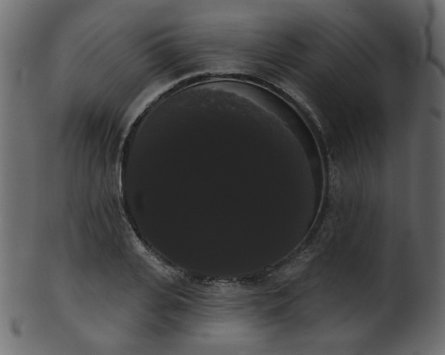 X0000101980935200807181121