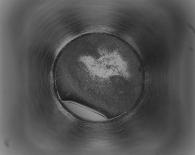 X0000101980936200807181121