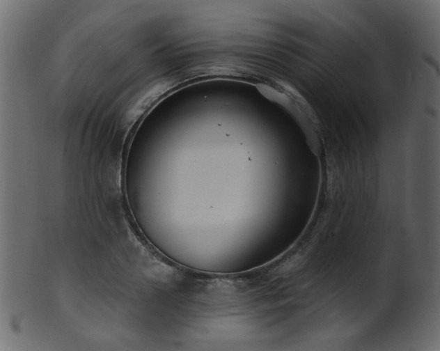 X0000101980938200807181121