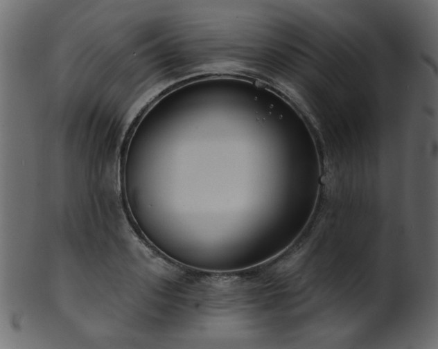 X0000101980939200807181121