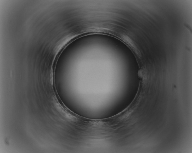 X0000101980940200807181121