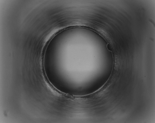 X0000101980942200807181121