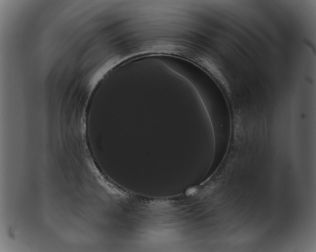 X0000101980944200807181121