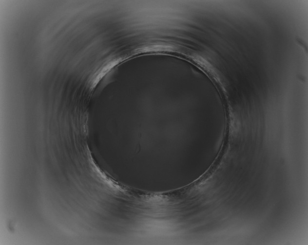 X0000101980945200807181121