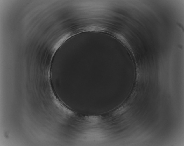 X0000101980946200807181121