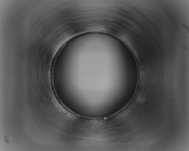 X0000101980947200807181121