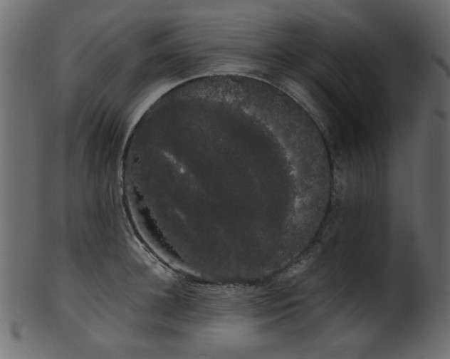 X0000101980948200807181122