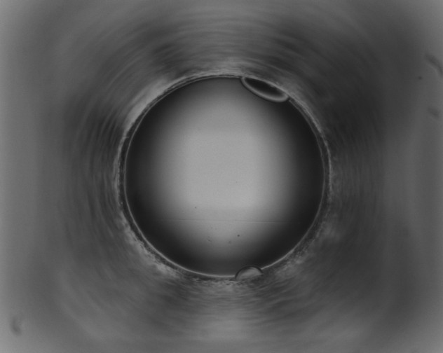 X0000101980949200807181122