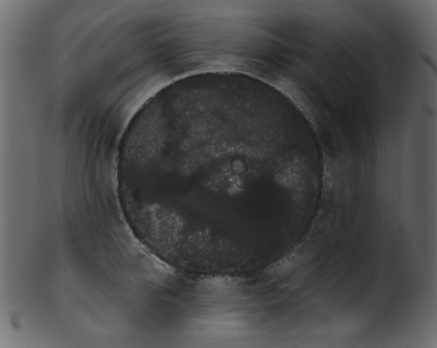 X0000101980950200807181122