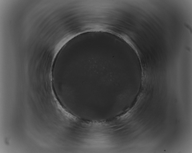 X0000101980951200807181122