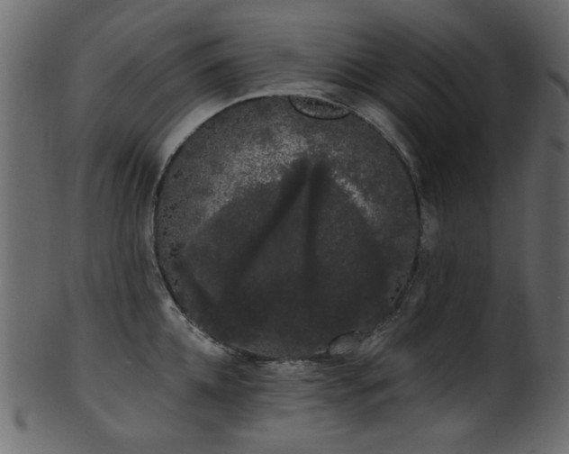 X0000101980952200807181122