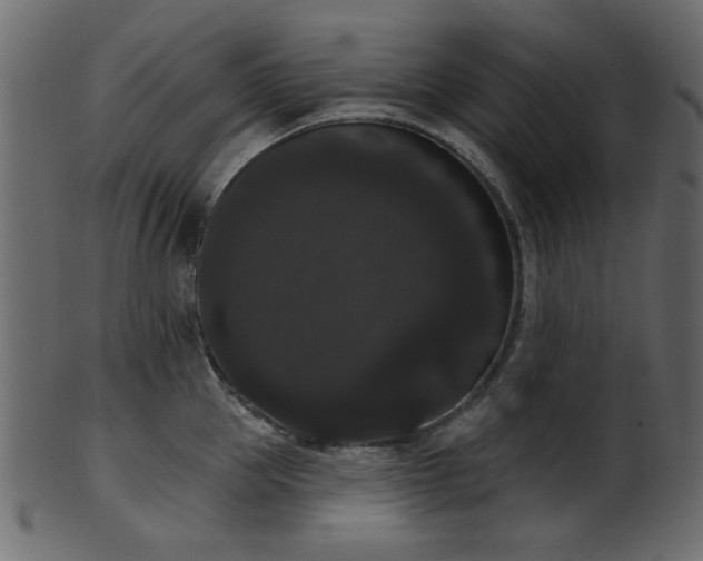 X0000101980953200807181122