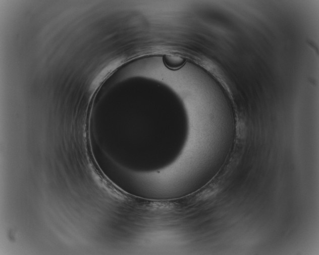 X0000101980954200807181122